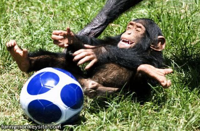 Soccer_Monkey.jpg
