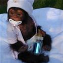 Cutest Baby Monkey Ever