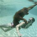 Underwater Monkey Ride