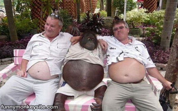 All Chillin Together