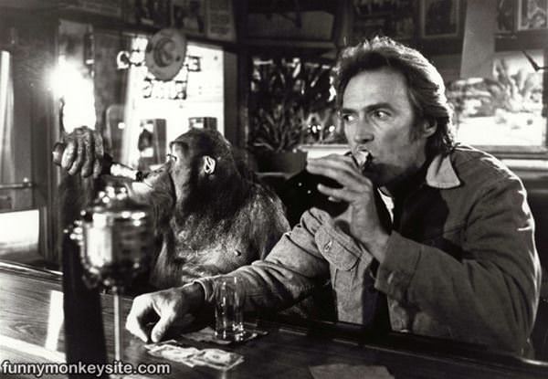Hanging At The Bar