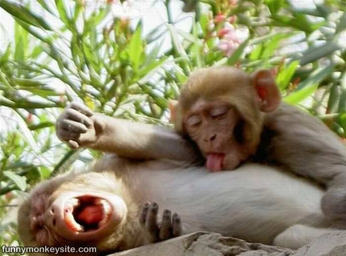 That Tickles
