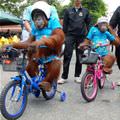 Bike Riding Monkeys