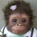 Cute Funny Monkey