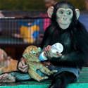 Helping With Feeding