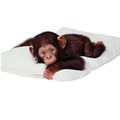 Monkey Pillow