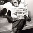 Space Chimp Lives