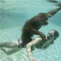 Under Water Monkey